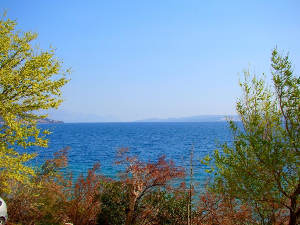 Apartman Anka *